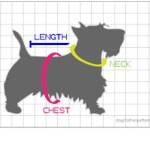 How to measure your dog for clothing