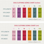 Dog size chart