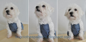 free dog dress sewing patterns