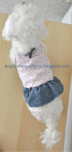 free dog clothes patterns