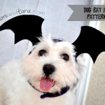 Dog bat wings hat patterns