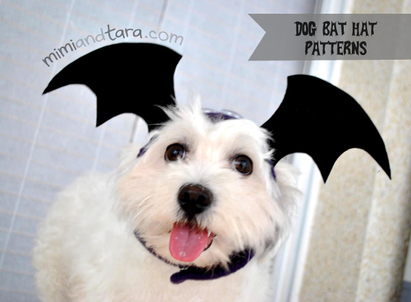 dog bat hat