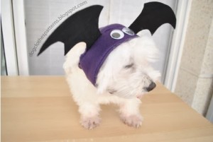 bat costume for dog
