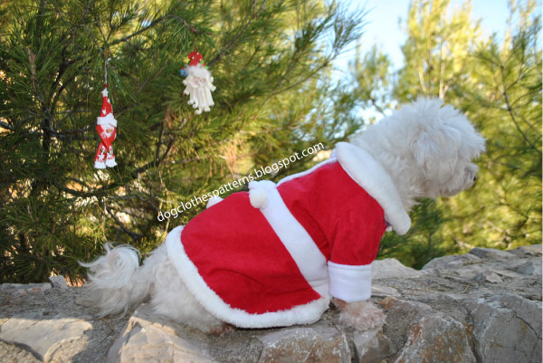 Sew dog christmas dress