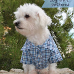 Dog shirt patterns