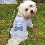 Dog Sweater Pattern