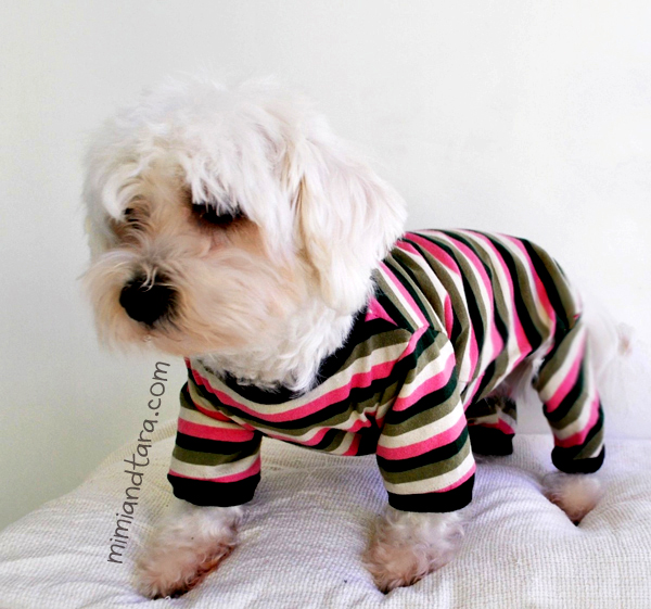 dog pajamas