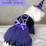 Witch dog costume