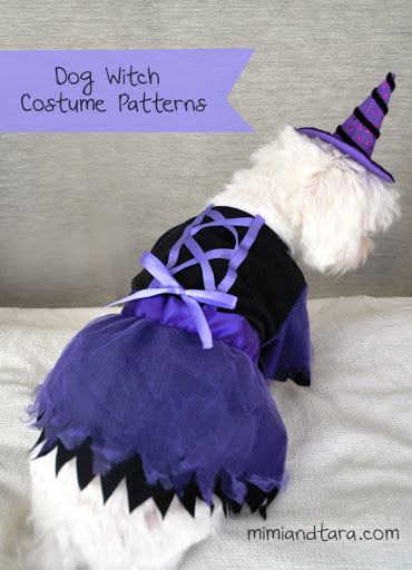 Witch dog costume