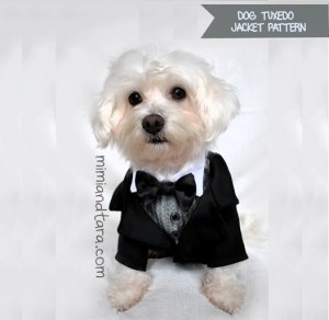 dog-tuxedo-jacket-pattern thumb