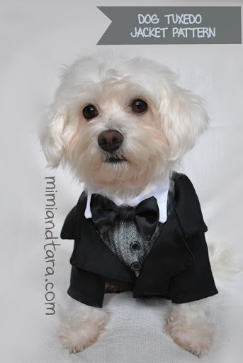 dog-tuxedo-jacket-pattern