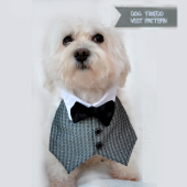 Dog Tuxedo Vest Pattern