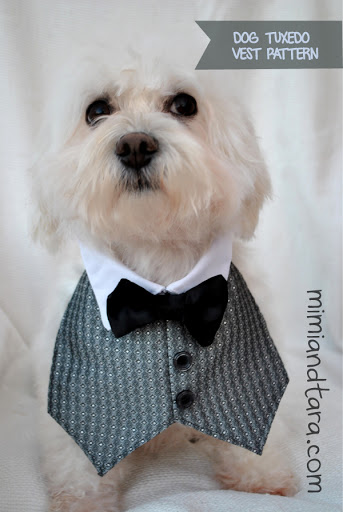 Dog tuxedo vest pattern