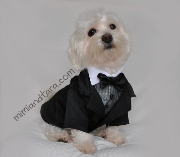 Lovelonglong Pet Costume Dog Suit Formal Tuxedo with Black Bow Tie for Small Dogs Toy Poodle Clothing Gray M