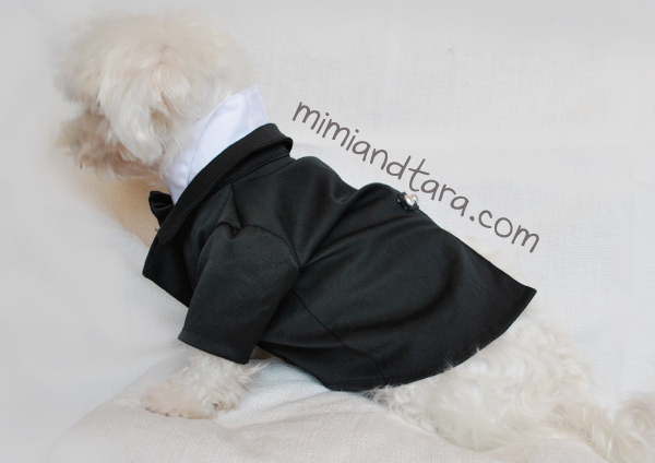 Tuxedo jacket dog