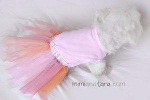 Dog dress patterns | FREE PDF DOWNLOAD