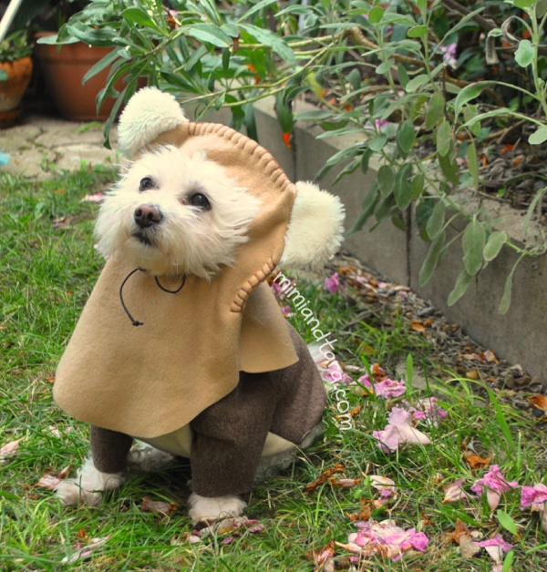 Dog ewok hood