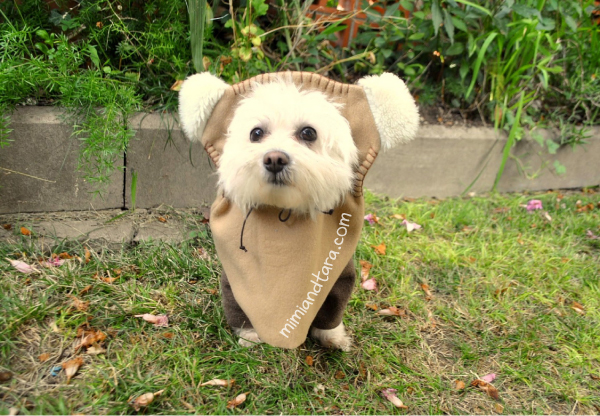 Easy Ewok Dog Costume Patterns - Free to Download - Mimi&Tara