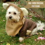 Ewok Dog Costume