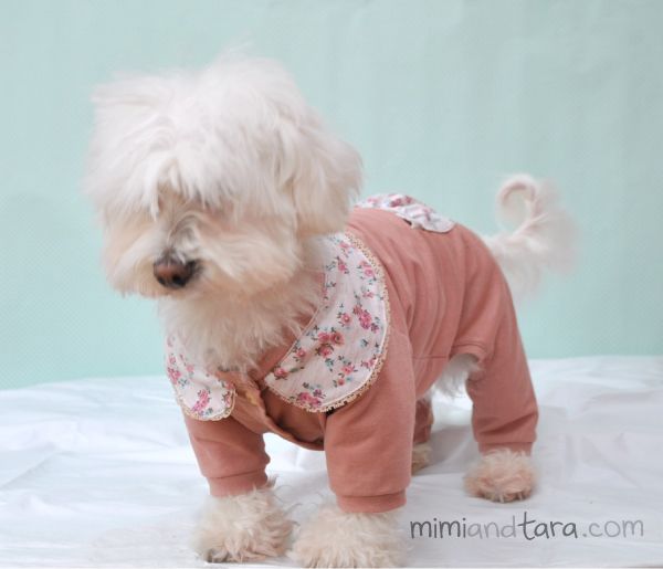 dog pajamas