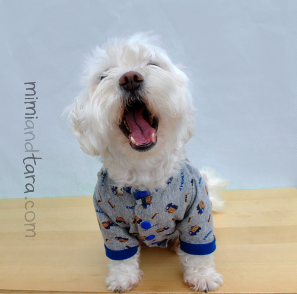 dog pajamas