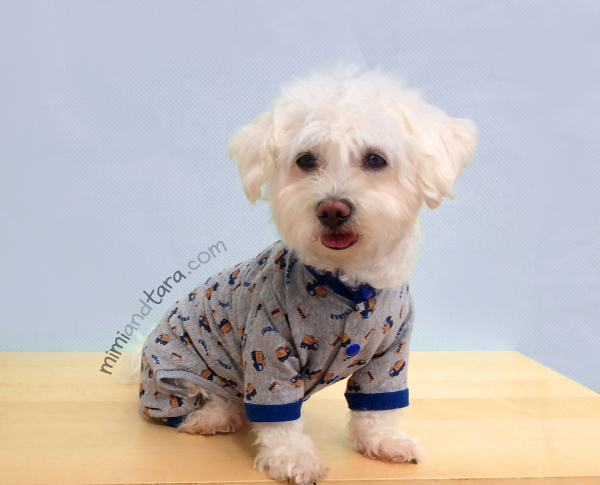 pet pajamas