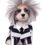 beetlejuice dog costume