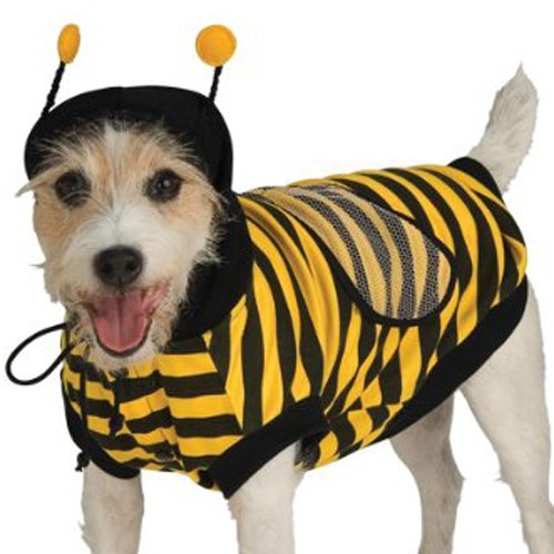 bee dog costume