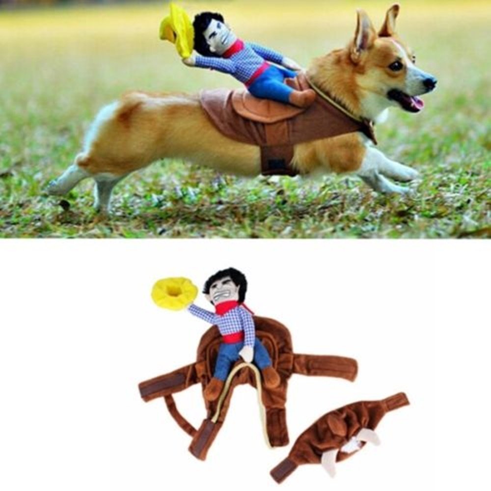 cowboy rider dog costume