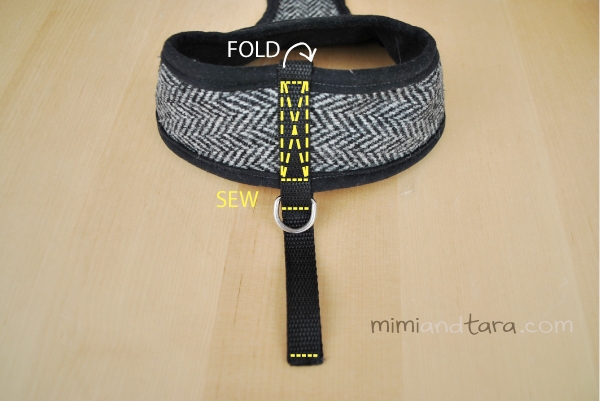 dog harness webbing