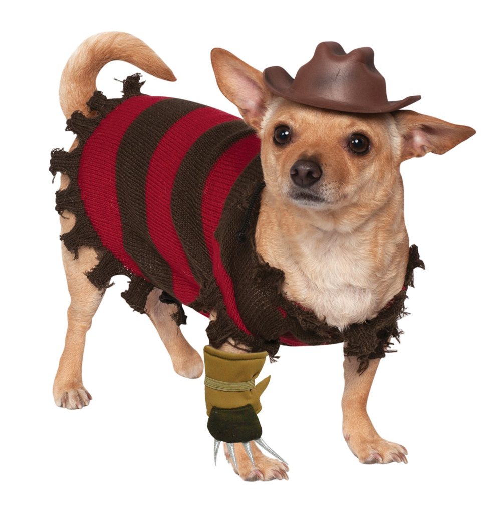 freddy krueger dog costume