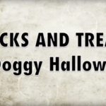 funniest halloween dog video