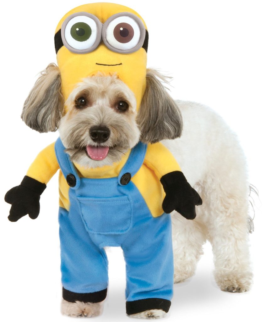 minion dog costume