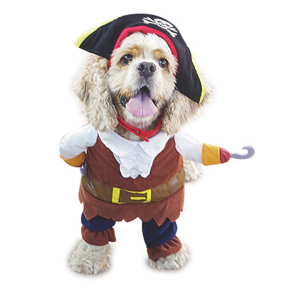 pirate dog costume