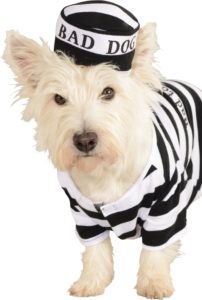 prisoner dog costume