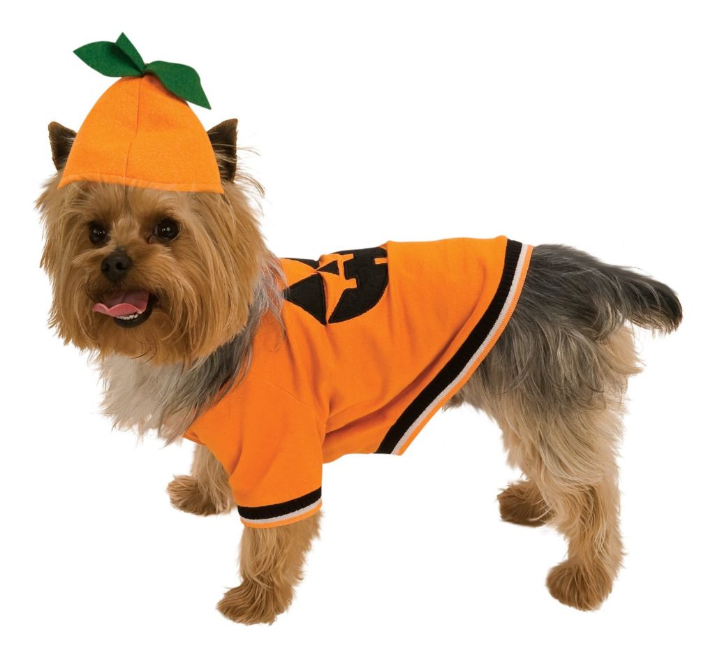 pumkin dog costume