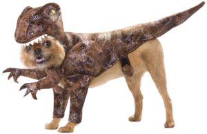 raptor dog costume