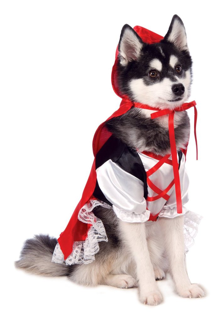 red riding dog costume