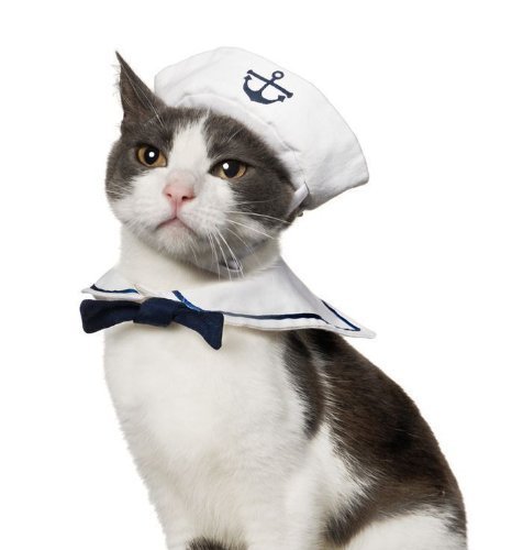sailor cat costume