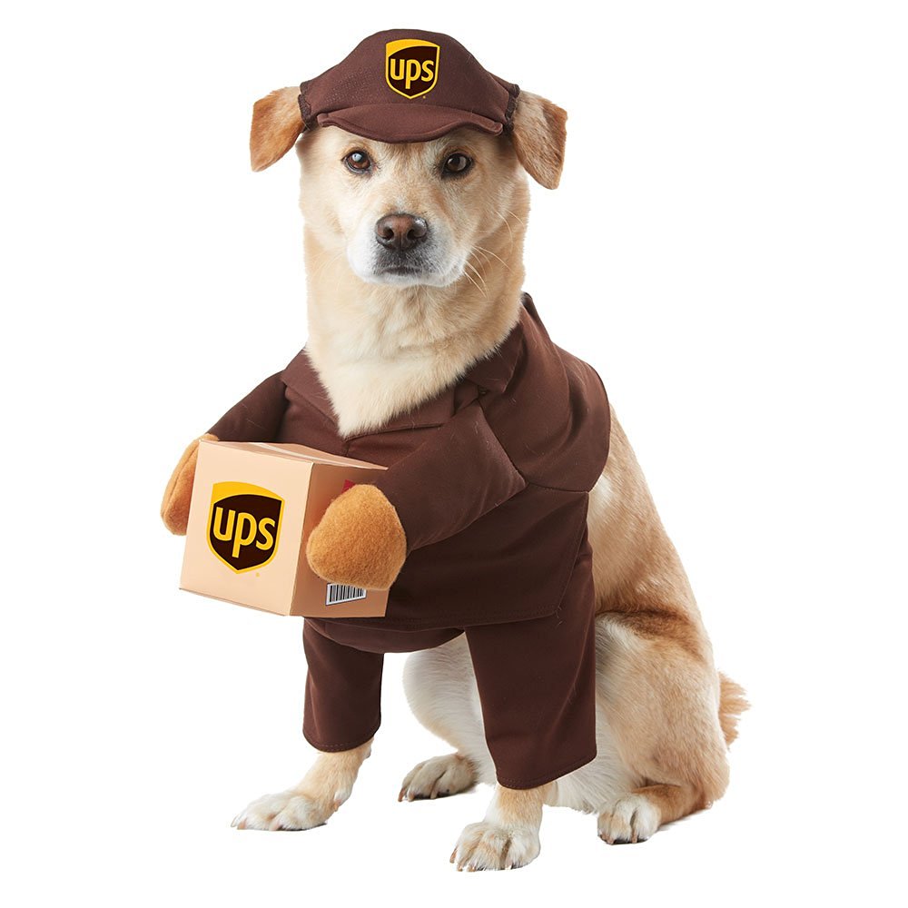 ups dog costume