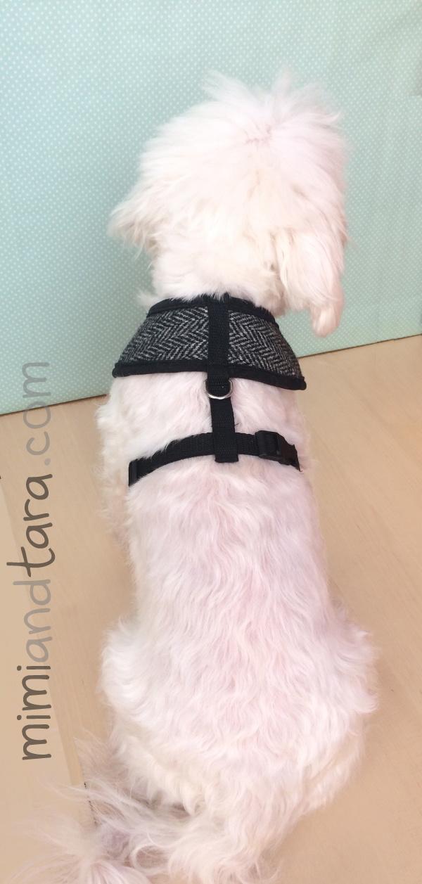 dog harness straps