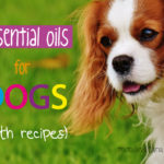 Essential Oils for Dogs